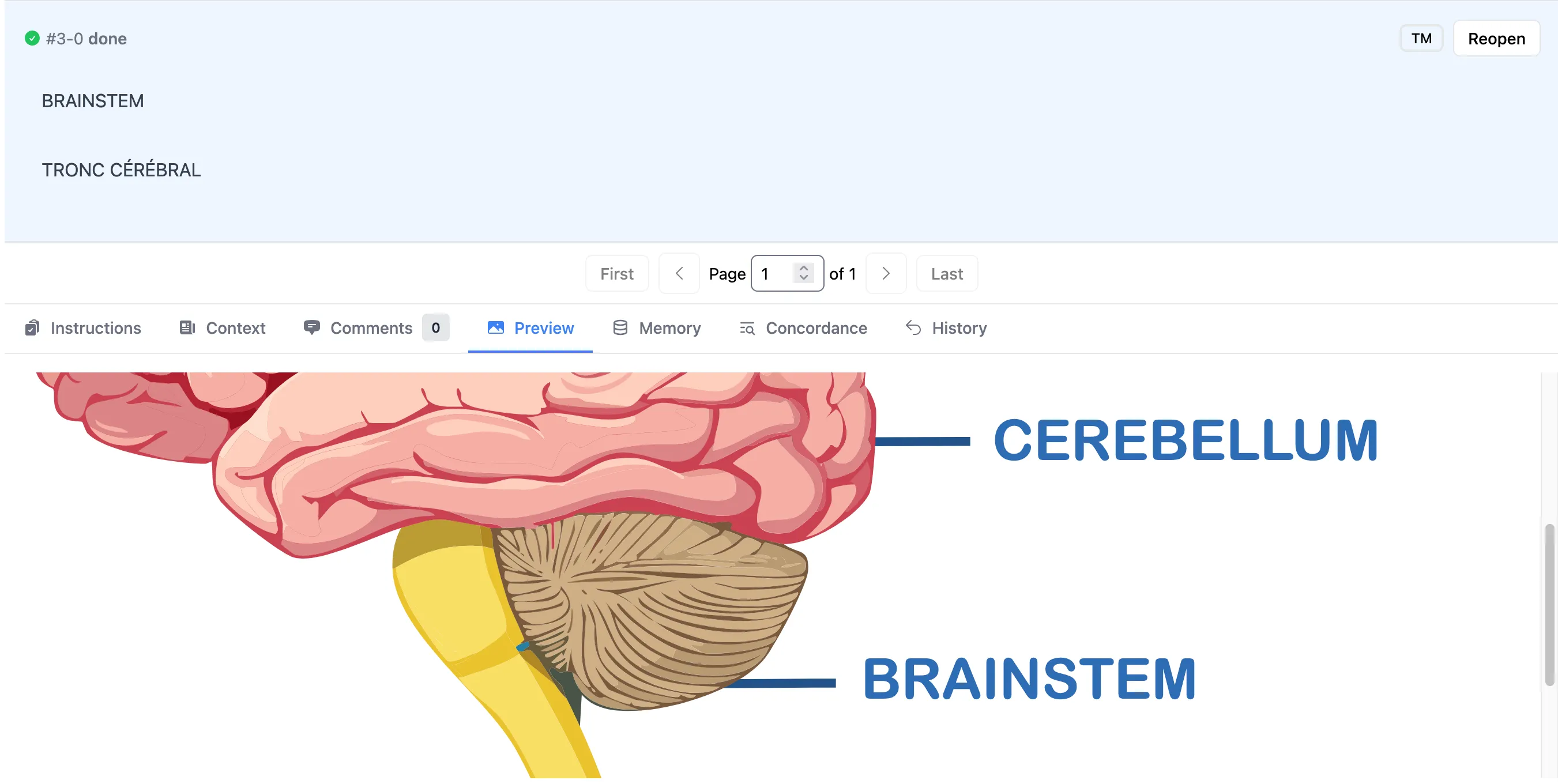 BloxWeaver&#x27;s translation interface showing contextual visual information to help translators understand anatomical terminology
